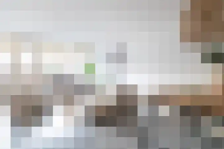 Heuvellaan 130 Gouda thumbnail 10