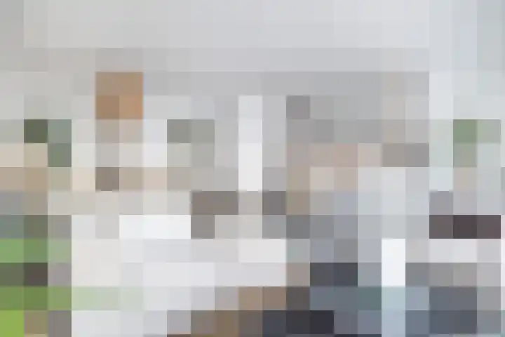 Heuvellaan 130 Gouda thumbnail 13