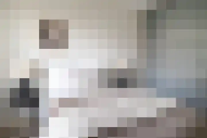 Heuvellaan 130 Gouda thumbnail 18
