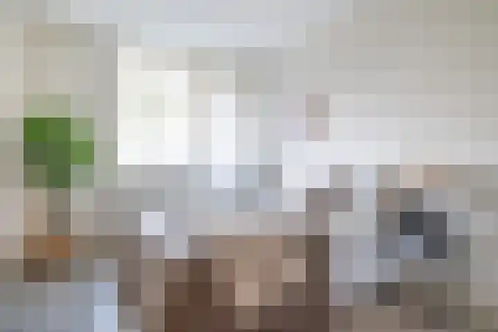 Heuvellaan 130 Gouda thumbnail 4