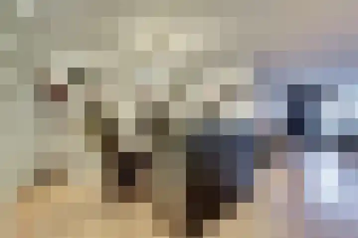 Heuvellaan 144 Gouda thumbnail 11