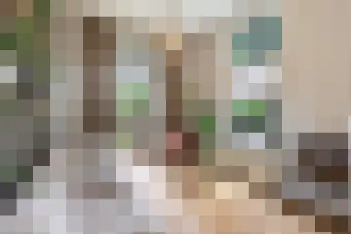Heuvellaan 15 Apeldoorn thumbnail 13