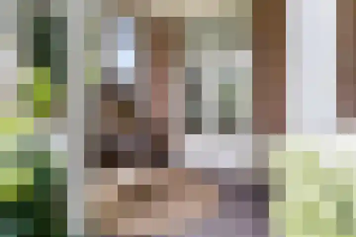Heuvellaan 15 Apeldoorn thumbnail 15