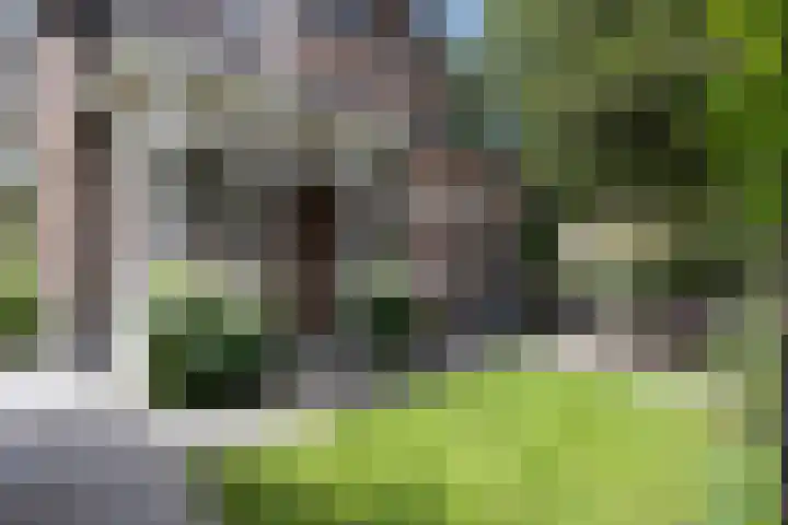 Heuvellaan 15 Apeldoorn thumbnail 16