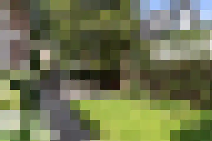 Heuvellaan 15 Apeldoorn thumbnail 17