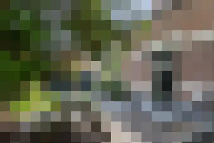 Heuvellaan 15 Apeldoorn thumbnail 18