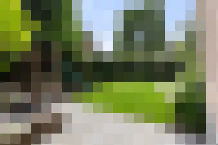 Heuvellaan 15 Apeldoorn thumbnail 19