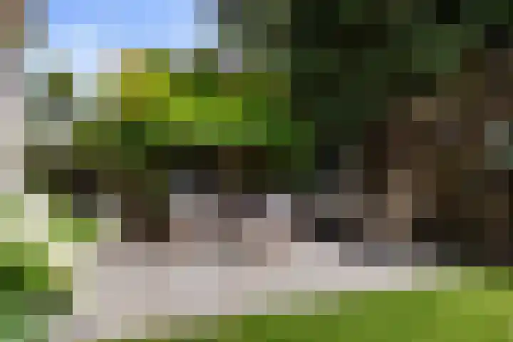 Heuvellaan 15 Apeldoorn thumbnail 20