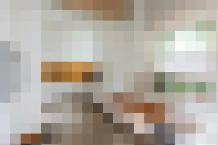 Heuvellaan 15 Apeldoorn thumbnail 27