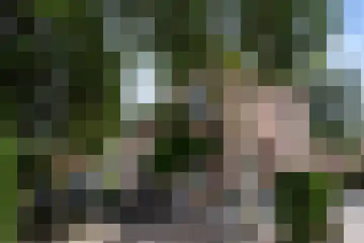 Heuvellaan 15 Apeldoorn thumbnail 48