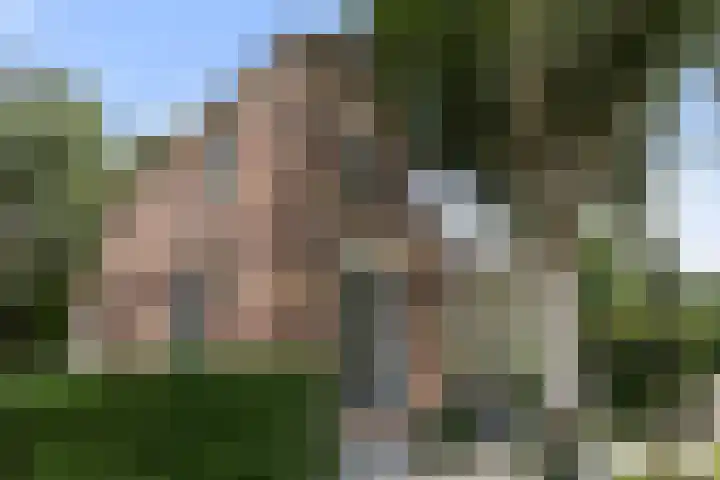Heuvellaan 15 Apeldoorn thumbnail 50