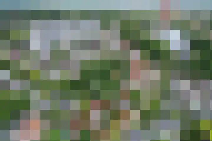 Heuvellaan 15 Apeldoorn thumbnail 52