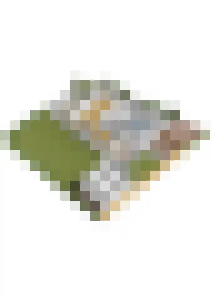 Heuvellaan 15 Apeldoorn thumbnail 61