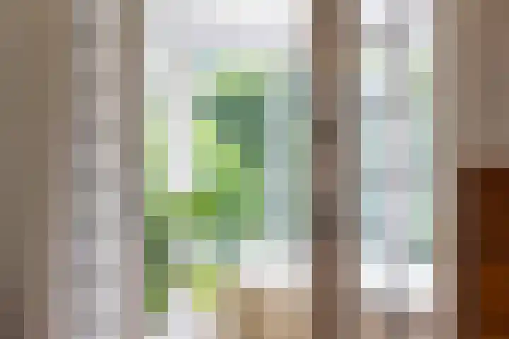 Heuvellaan 15 Apeldoorn thumbnail 8