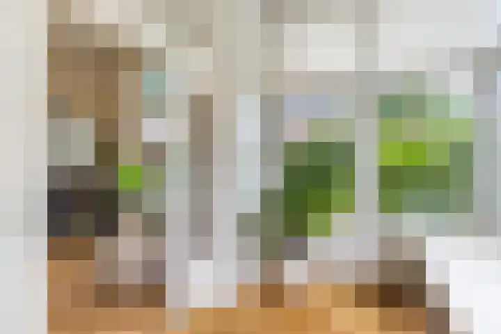 Heuvellaan 15 Apeldoorn thumbnail 9
