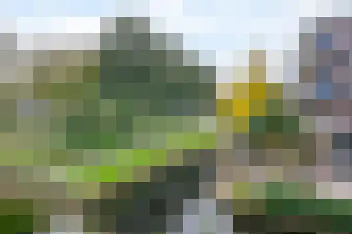 Heuvellaan 156 Gouda thumbnail 14