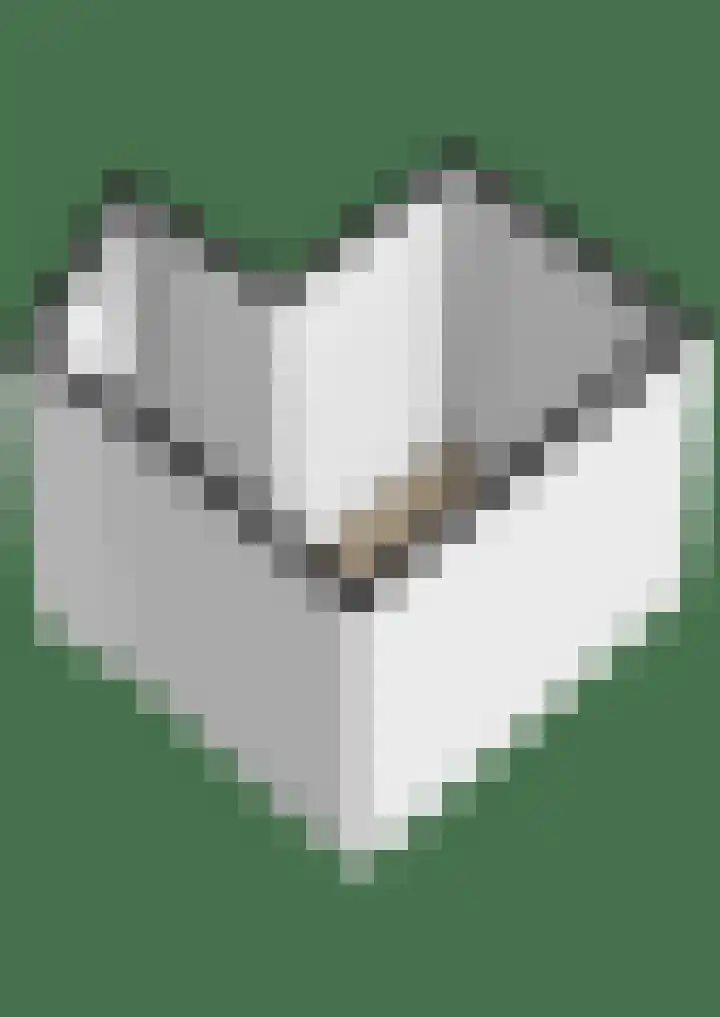 Heuvellaan 156 Gouda thumbnail 29