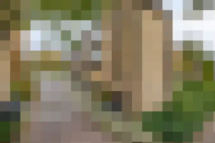 Heuvellaan 156 Gouda thumbnail 4