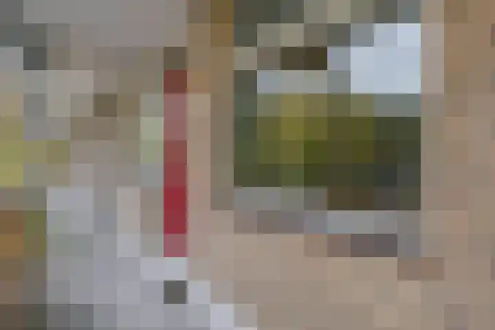 Heuvellaan 156 Gouda thumbnail 6