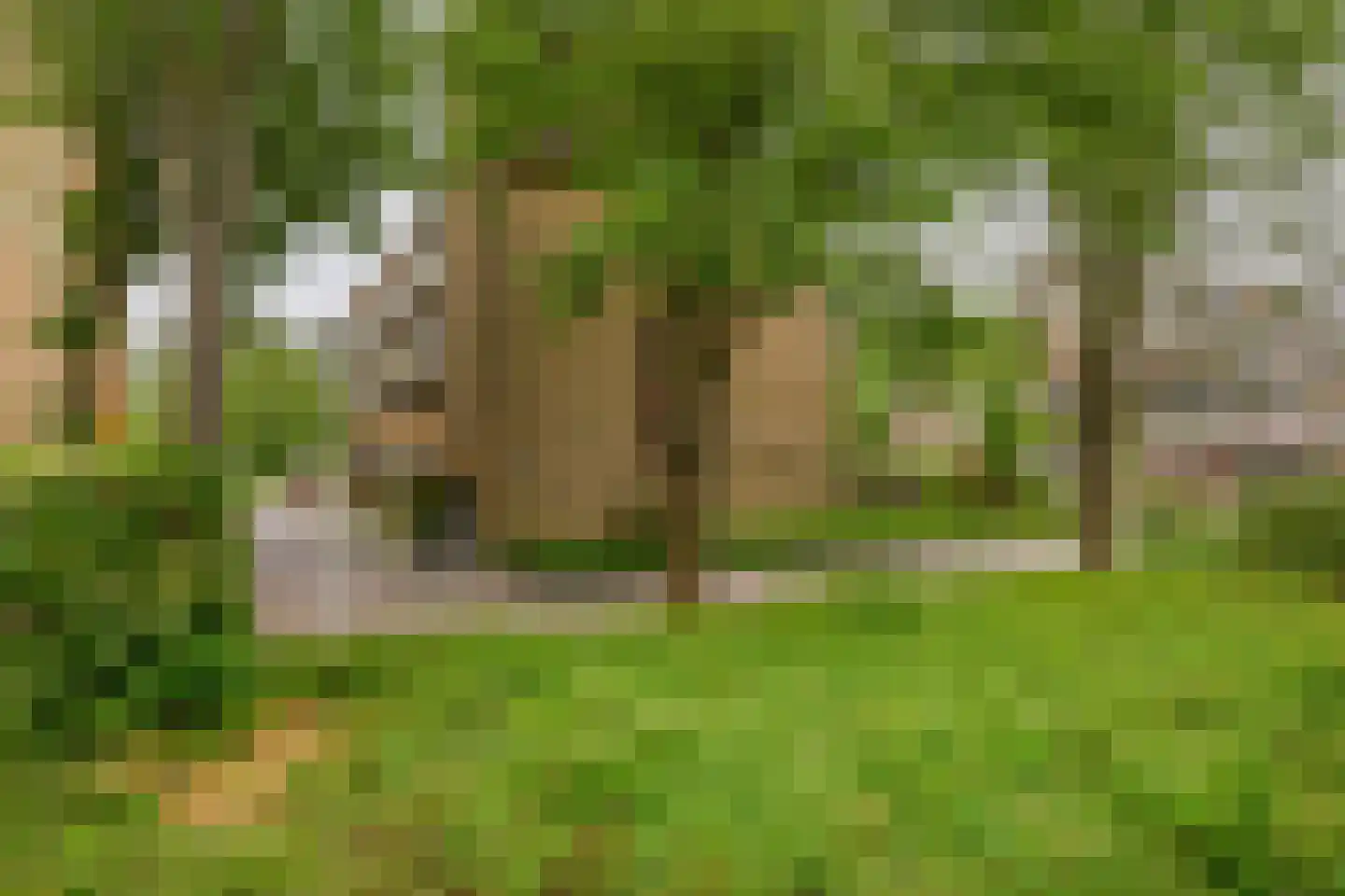 Heuvellaan 158 Gouda thumbnail 23
