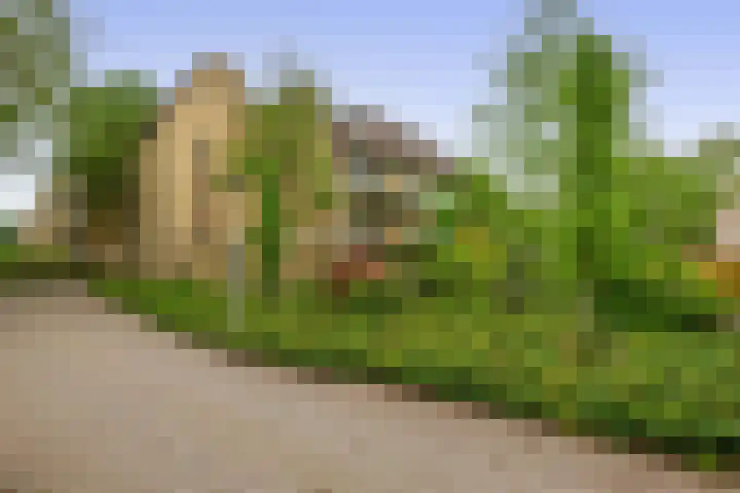 Heuvellaan 158 Gouda thumbnail 24
