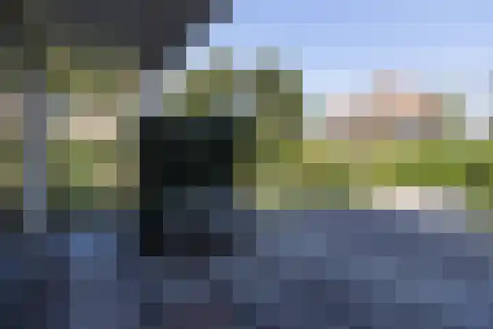 Heuvellaan 16 Bussum thumbnail 10
