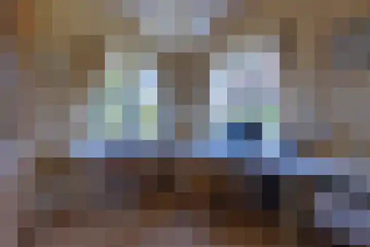 Heuvellaan 16 Bussum thumbnail 20
