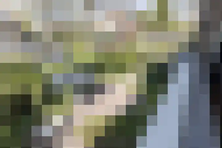 Heuvellaan 16 Bussum thumbnail 39