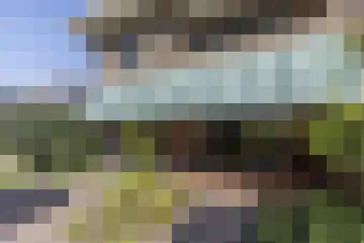 Heuvellaan 16 Bussum thumbnail 52