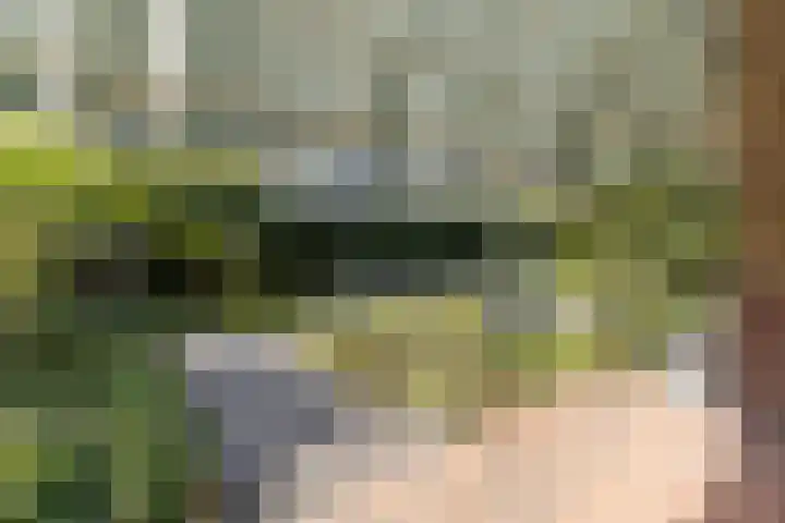 Heuvellaan 16 Bussum thumbnail 54