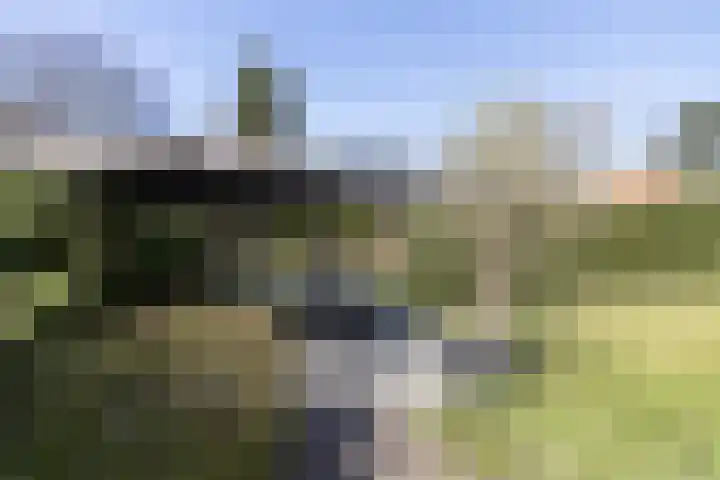 Heuvellaan 16 Bussum thumbnail 56