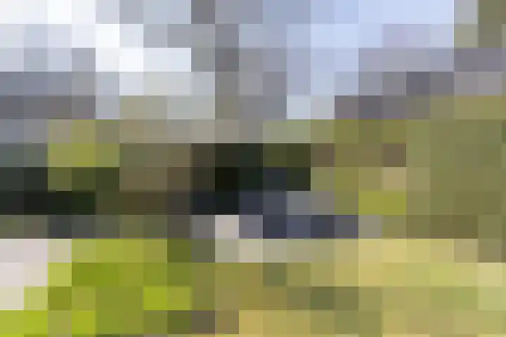 Heuvellaan 16 Bussum thumbnail 60