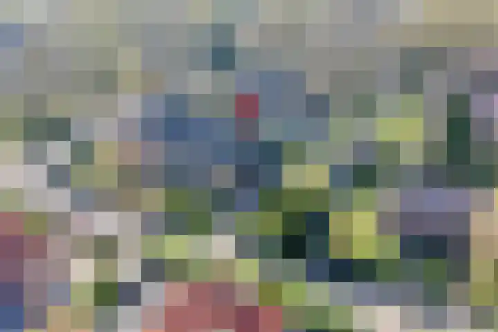 Heuvellaan 16 Bussum thumbnail 63