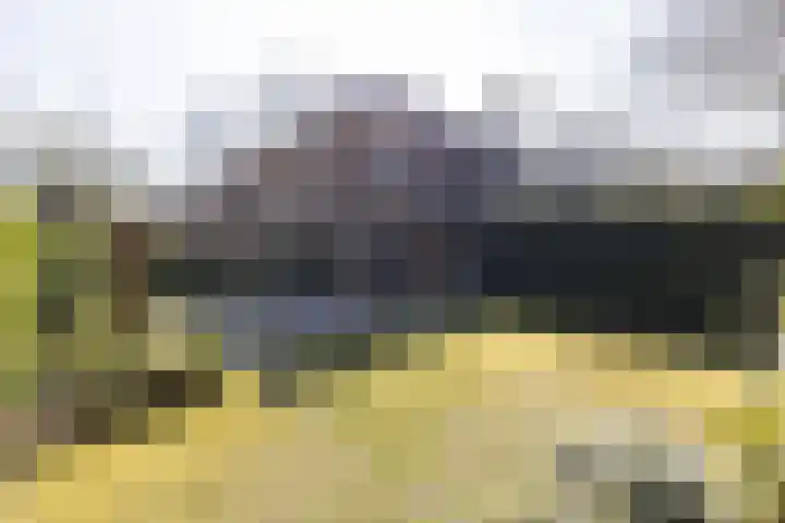 Heuvellaan 16 Bussum thumbnail 7