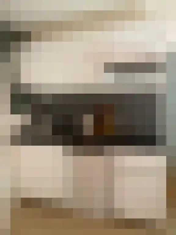 Heuvellaan 16 Hilversum thumbnail 4