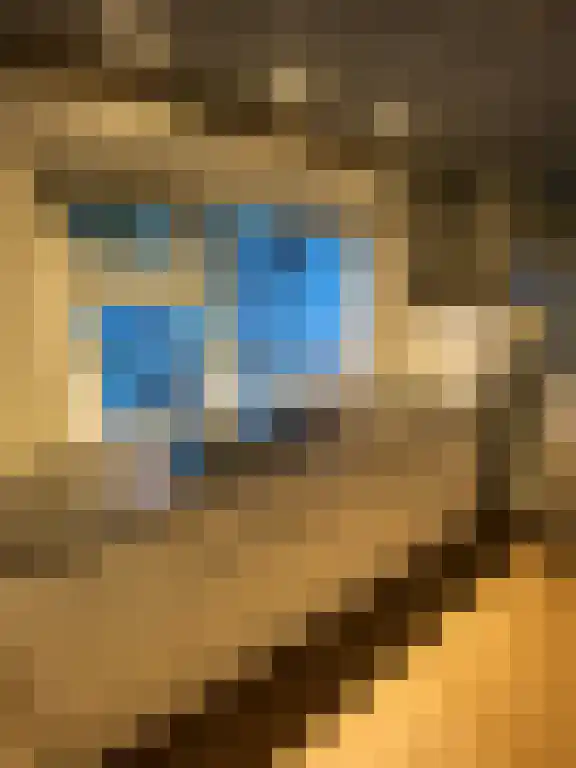 Heuvellaan 16 Hilversum thumbnail 5