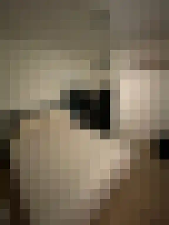 Heuvellaan 16 Hilversum thumbnail 5