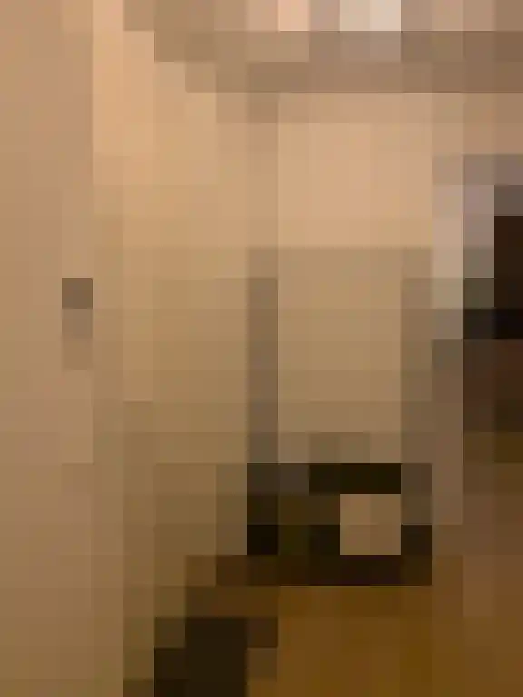 Heuvellaan 2 Gouda thumbnail 4