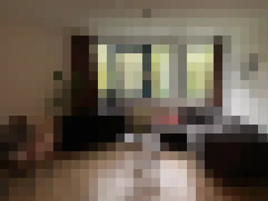 Heuvellaan 2 Gouda thumbnail 5