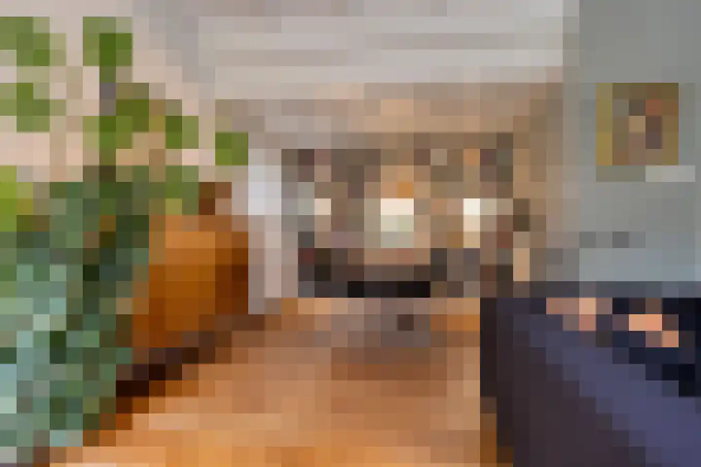 Heuvellaan 20 Epe thumbnail 13