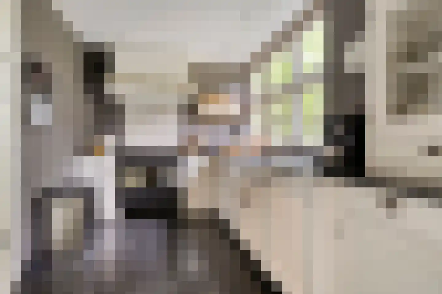 Heuvellaan 20 Epe thumbnail 17