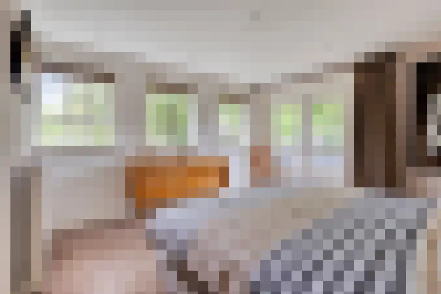 Heuvellaan 20 Epe thumbnail 28
