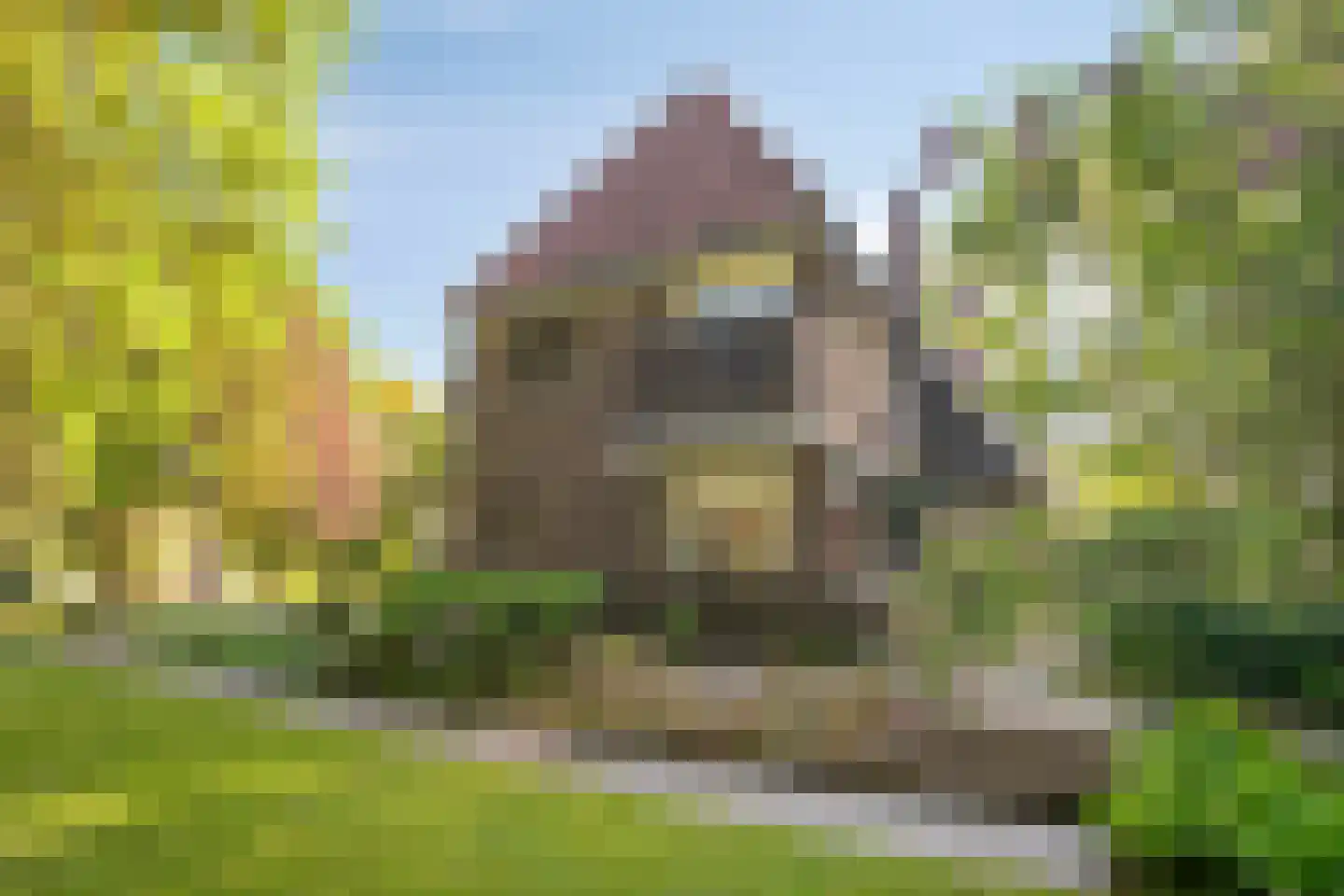 Heuvellaan 20 Epe thumbnail 39