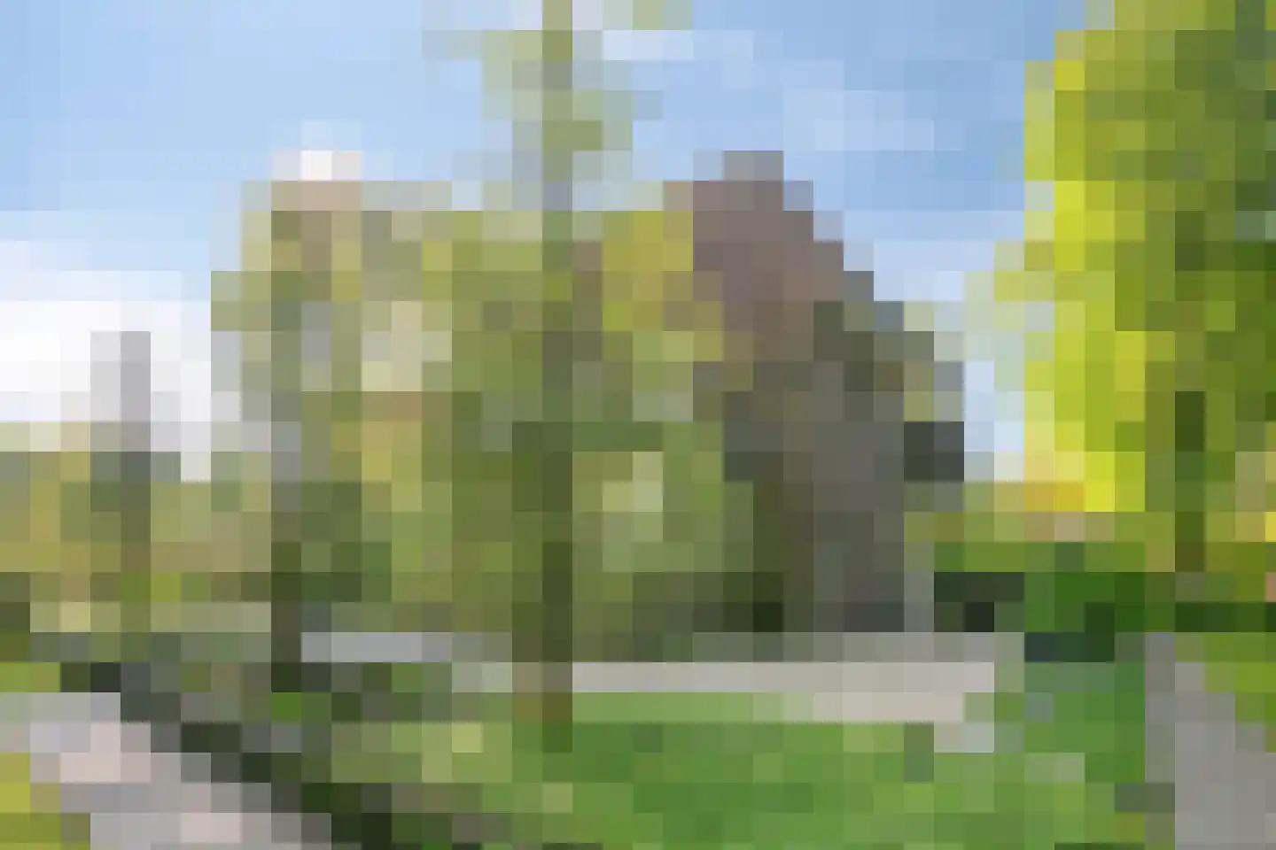 Heuvellaan 20 Epe thumbnail 4