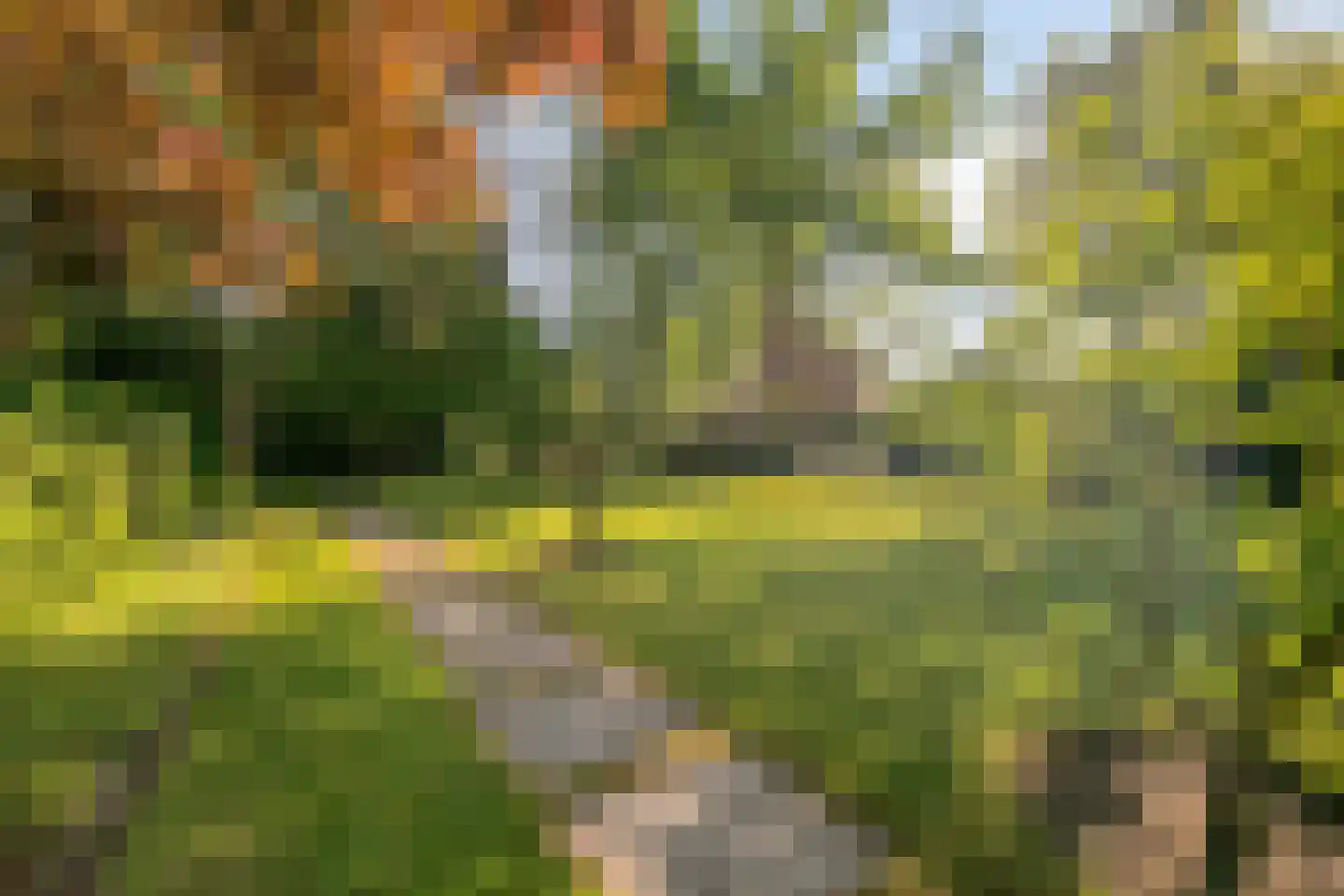 Heuvellaan 20 Epe thumbnail 42