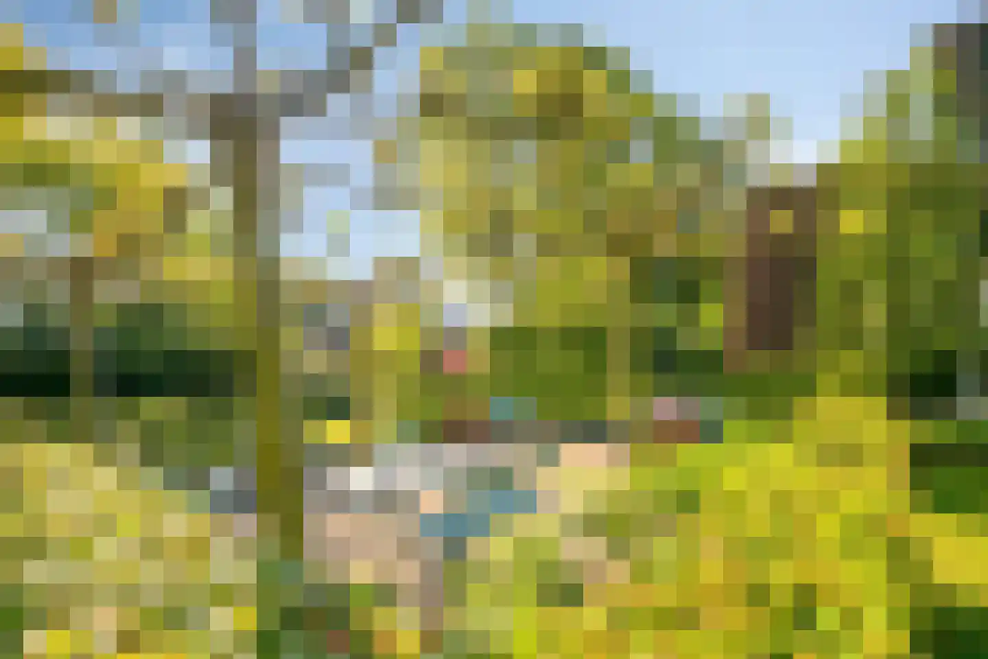 Heuvellaan 20 Epe thumbnail 44