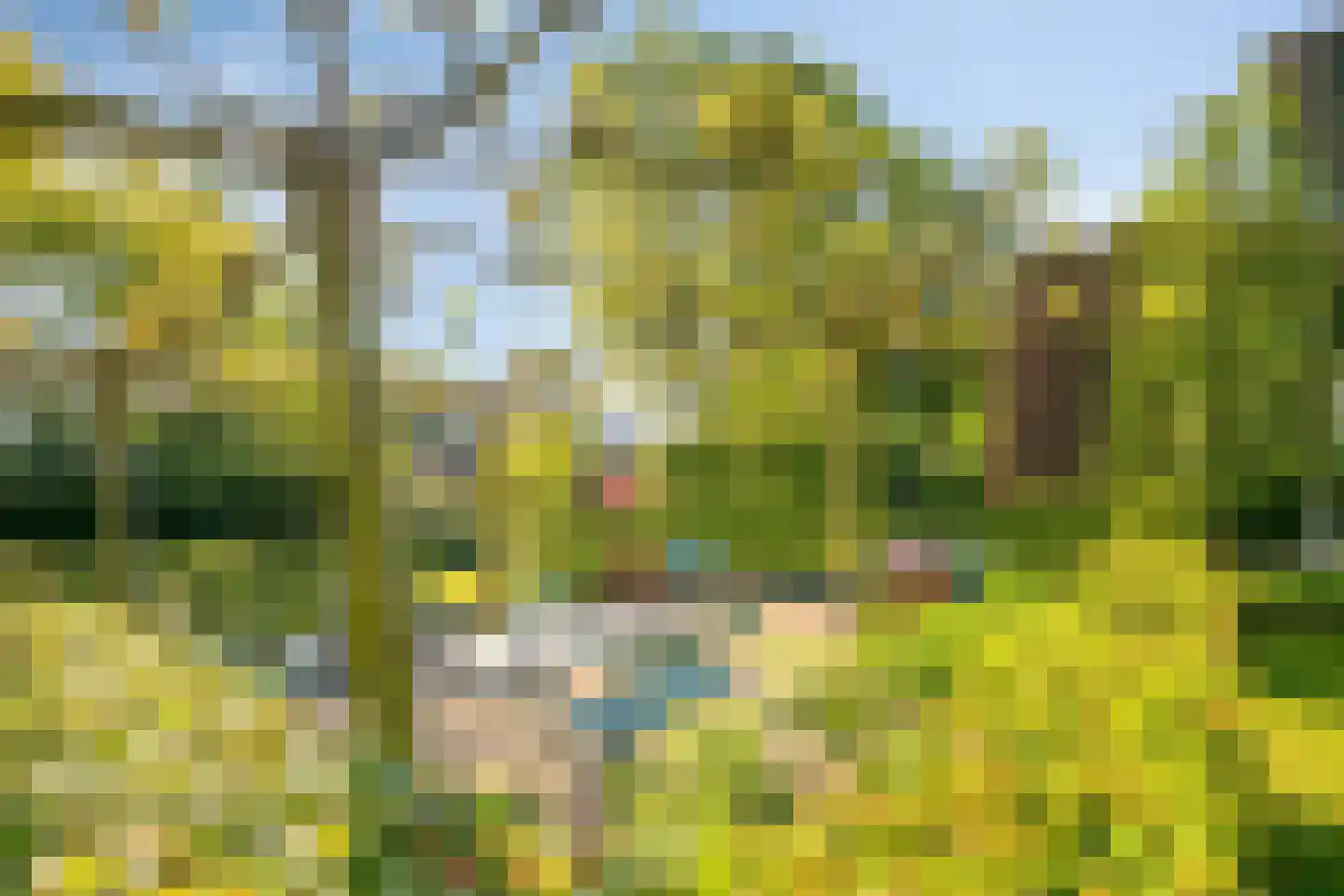 Heuvellaan 20 Epe thumbnail 44
