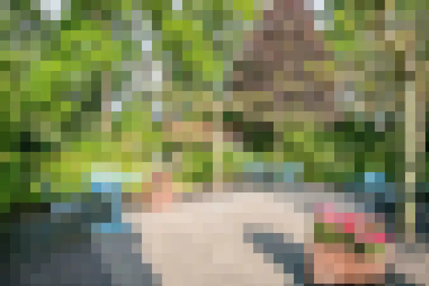 Heuvellaan 20 Epe thumbnail 45