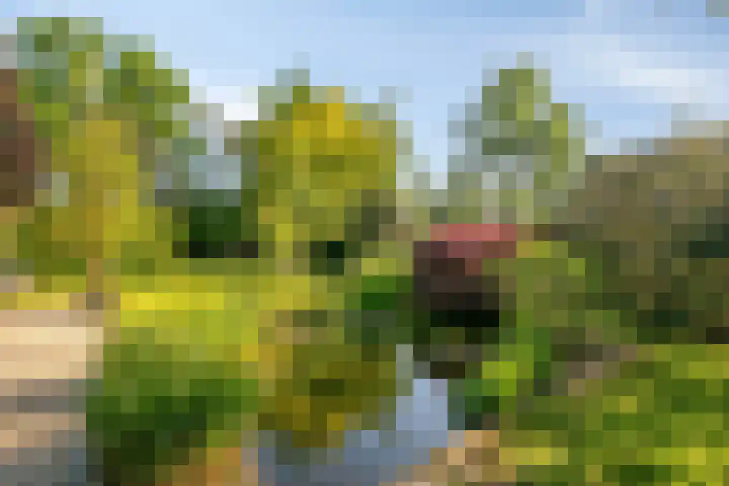 Heuvellaan 20 Epe thumbnail 47