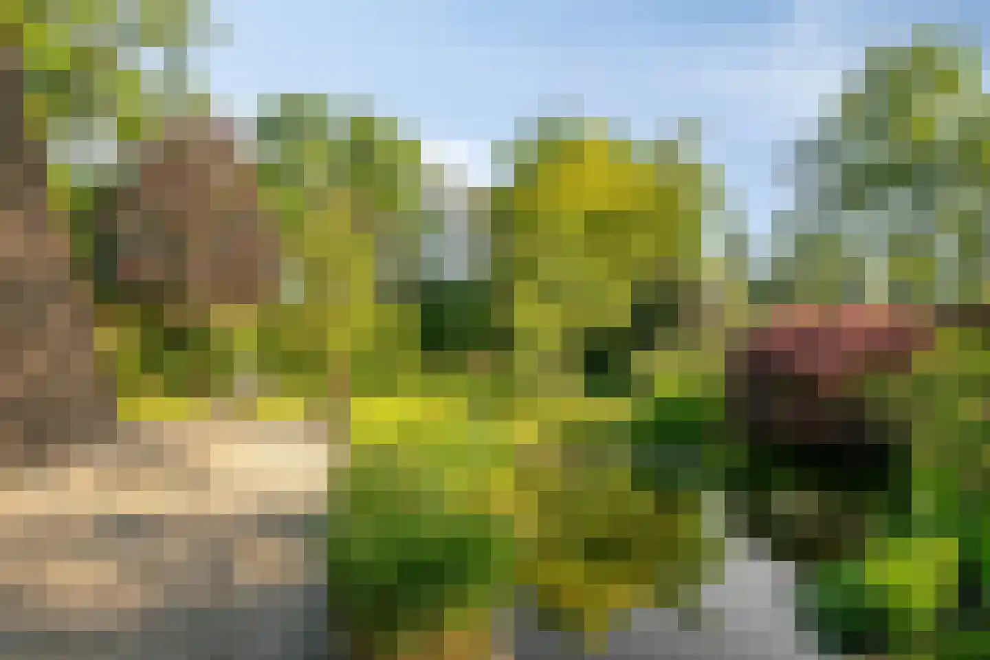 Heuvellaan 20 Epe thumbnail 48